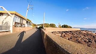 I met a cat on a breakwater at dusk. When I got close, it came over to me wanting to be petted. It was a precious moment.