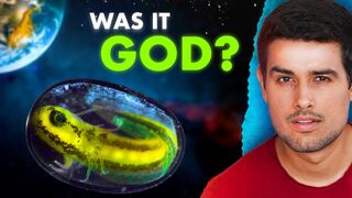 The Startling Theory of Earths Origin of Life