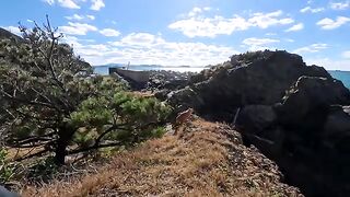 I went to a shrine on the cliff with a cat I met near the port on Cat Island.