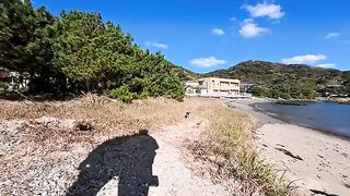 As I was walking along the seaside road, a cat came towards me from the beach saying something.