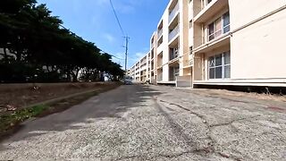 Before leaving the island, I went to the cat-filled apartment complex again, and the cats were rolling around happily.