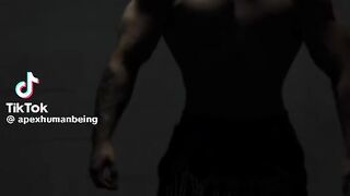 Gym fitness workout aesthetic bodybuilding