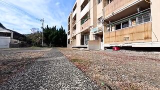 When I went to the housing complex at the back of the island, cats gathered there too.
