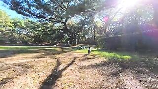 I met a friendly black cat in the park