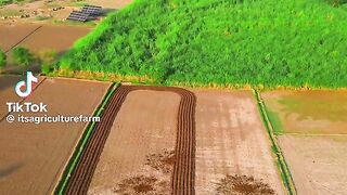 Tractor Harvesting in field which village beautiful view from drown camera