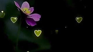 new trending shayari sadurdupoetry deeplines viralvideo shorts sadpoe.mp4