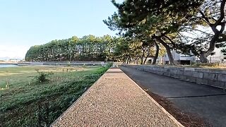 When I sat on the breakwater, a cat came running up from afar and sat on my lap.