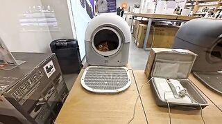 An automatic cat litter box on display at a home appliance store has turned into a comfortable bed for cats