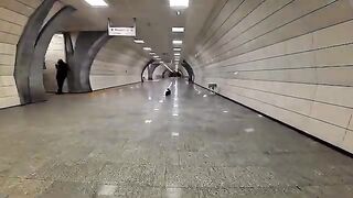 I met a friendly cat at the subway station
