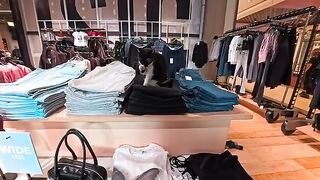 Is it true that people in this country cant see cats? In the clothing section, cats are sleeping soundly on the clothes on sale.