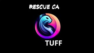 A Little Family We Had The Pleasure To Know