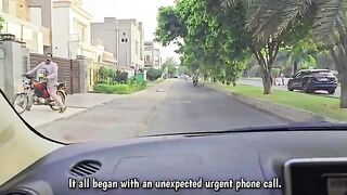 My husband froze when he saw 16 kittens on the pavement!