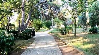 He dedicated his life to the stray cats that most people walk past without noticing.