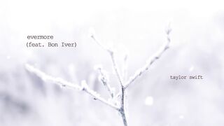 Taylor Swift - evermore (Official Lyric Video) ft. Bon Iver