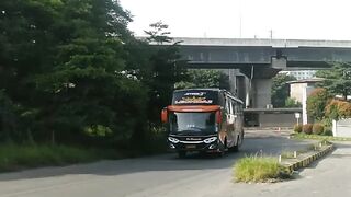 BERPERANG TANPA SANG JENDRAL " LEONIDAS - 144 #shorts #poharyanto #busmania