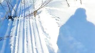 Алтай