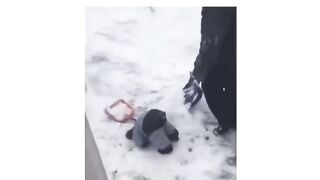 This video will make your day!