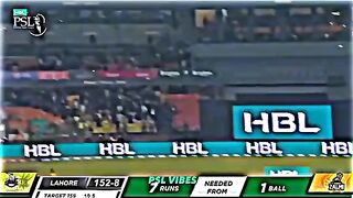 Cricket joy