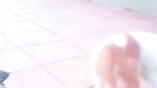 Cats and mouse in joy life an fun