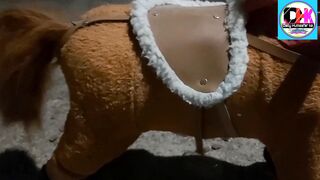 Daily Humsafar ke Pets | Hourse Toys