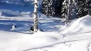 Отдых в тайге