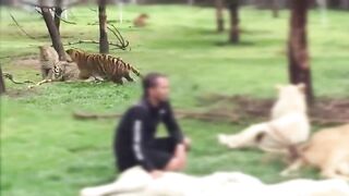 ЖИВОТНЫЕ СПАСАЮТ ЖИЗНЬ ЛЮДЯМ