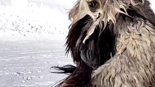 legend about snow people