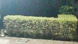Weather #Rain#Winter