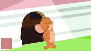 Tom And Jerry Cartoons New