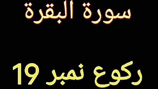 Online Quran learning