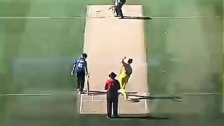 Starc Cooked Guptill  shorts cricket.mp4
