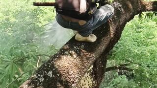 the process of collecting native forest honey bees