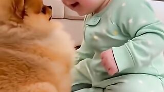 relation homme-animal