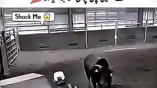 DEEPLINE  Us k Samny ni shorts attitudeboy foryou viral deepline.mp4