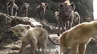 The Lion King shorts kdrama edit trending youtubeshorts.mp4