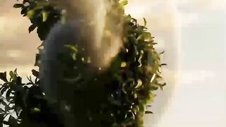 tree learns to dance