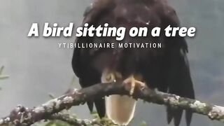 Motivational video for everyone