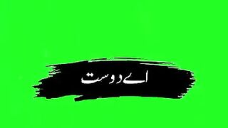 Friends poetry lines 2026 new year  blackscreenstatus greenscreen frindship.mp4