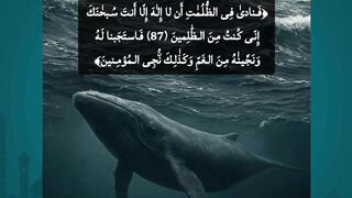 Islamic Quotes to Find Peace in Hard Times
