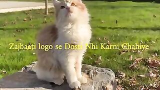 jazbaati logo se dur Rahoshortpoetrystatusnasehatsadshortfeedemotional.mp4