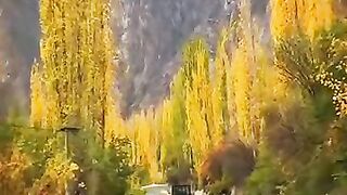 all travel with Mian Zahid.mp4