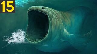 The Worlds 15 Most Dangerous Ocean Animals