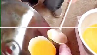 Telur dadar viral