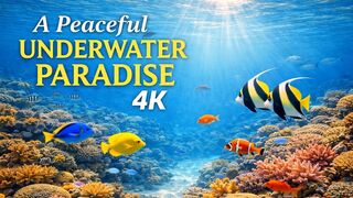 Never-before-seen tranquil underwater paradise