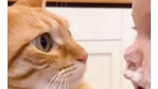 Meow meow funny baby