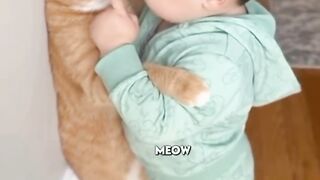 Funny cat and baby
