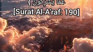 Exalted is Allah above what they think.