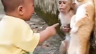 Funny video