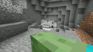 The BEST Minecraft mob POV Moments minecraft craftverse