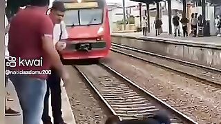 Diversité